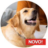 Especializacao-PAV--_geriatria-veterinaria
